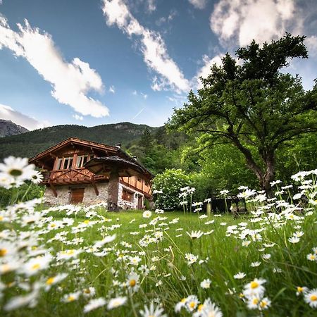 Mas Antico Molino Villa Livo  Buitenkant foto